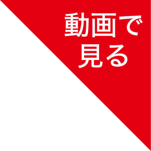 動画で見る